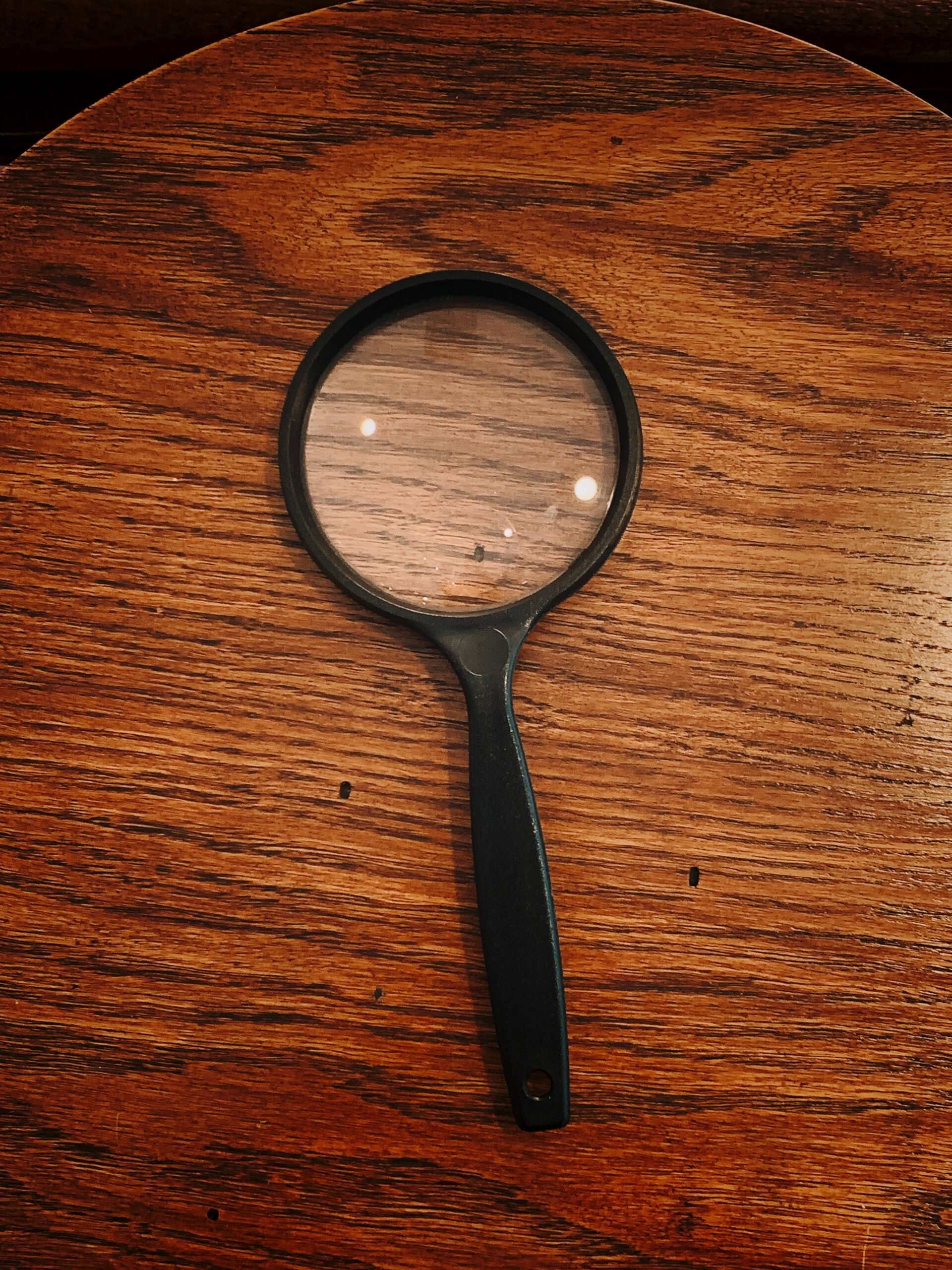 Investigator Acknowledges Lack of Expected Related Party Transactions